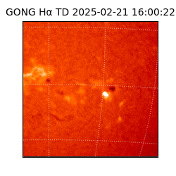 gong - 2025-02-21T16:00:22