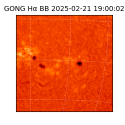 gong - 2025-02-21T19:00:02