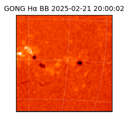 gong - 2025-02-21T20:00:02