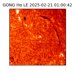 gong - 2025-02-21T01:00:42