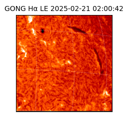 gong - 2025-02-21T02:00:42