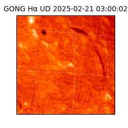 gong - 2025-02-21T03:00:02