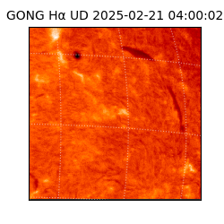 gong - 2025-02-21T04:00:02