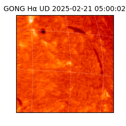 gong - 2025-02-21T05:00:02