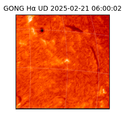 gong - 2025-02-21T06:00:02