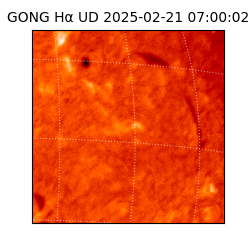 gong - 2025-02-21T07:00:02