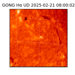 gong - 2025-02-21T08:00:02