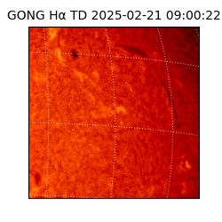 gong - 2025-02-21T09:00:22