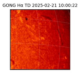 gong - 2025-02-21T10:00:22
