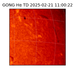 gong - 2025-02-21T11:00:22
