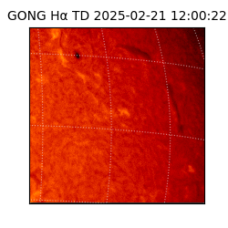 gong - 2025-02-21T12:00:22