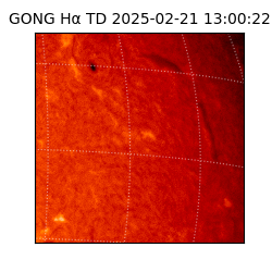 gong - 2025-02-21T13:00:22