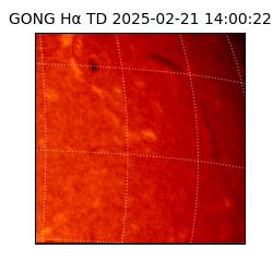 gong - 2025-02-21T14:00:22