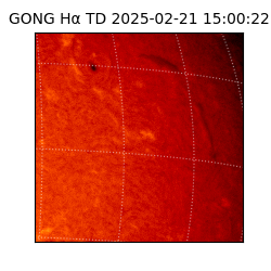 gong - 2025-02-21T15:00:22