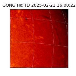 gong - 2025-02-21T16:00:22