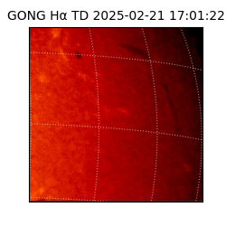 gong - 2025-02-21T17:01:22