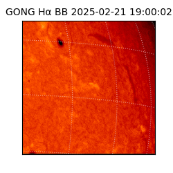 gong - 2025-02-21T19:00:02