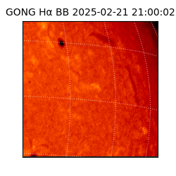 gong - 2025-02-21T21:00:02