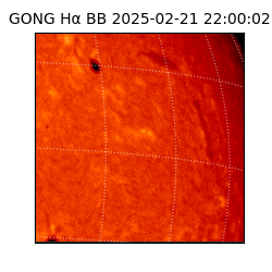 gong - 2025-02-21T22:00:02