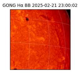 gong - 2025-02-21T23:00:02