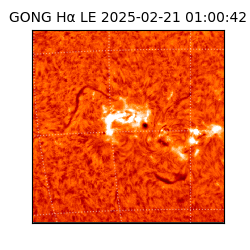 gong - 2025-02-21T01:00:42