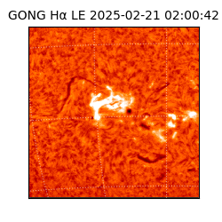 gong - 2025-02-21T02:00:42