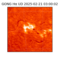 gong - 2025-02-21T03:00:02