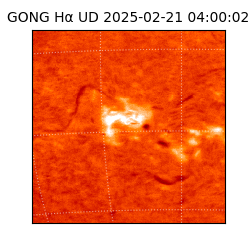 gong - 2025-02-21T04:00:02