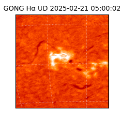 gong - 2025-02-21T05:00:02