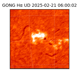 gong - 2025-02-21T06:00:02