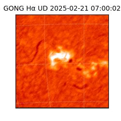 gong - 2025-02-21T07:00:02