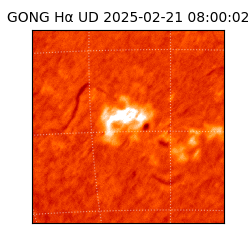 gong - 2025-02-21T08:00:02