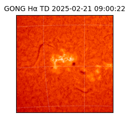 gong - 2025-02-21T09:00:22