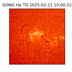 gong - 2025-02-21T10:00:22