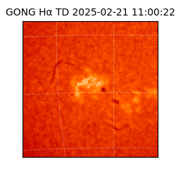 gong - 2025-02-21T11:00:22