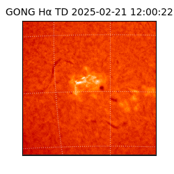 gong - 2025-02-21T12:00:22