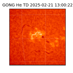 gong - 2025-02-21T13:00:22