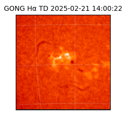 gong - 2025-02-21T14:00:22