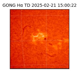 gong - 2025-02-21T15:00:22