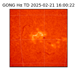 gong - 2025-02-21T16:00:22