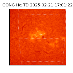 gong - 2025-02-21T17:01:22