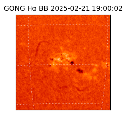 gong - 2025-02-21T19:00:02