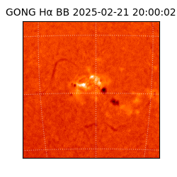 gong - 2025-02-21T20:00:02