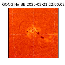 gong - 2025-02-21T22:00:02