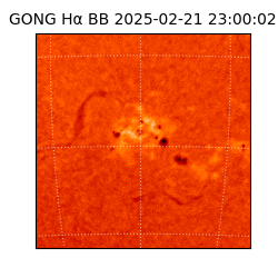 gong - 2025-02-21T23:00:02