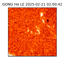 gong - 2025-02-21T02:00:42