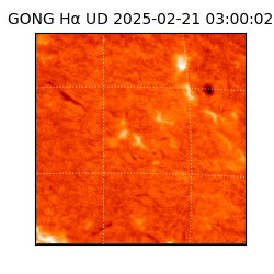 gong - 2025-02-21T03:00:02
