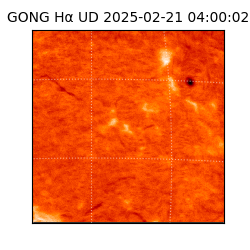 gong - 2025-02-21T04:00:02