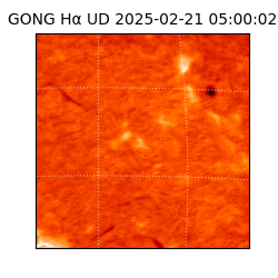 gong - 2025-02-21T05:00:02