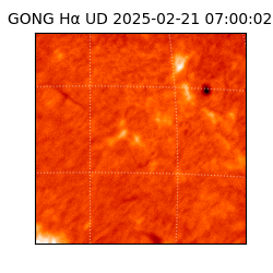 gong - 2025-02-21T07:00:02
